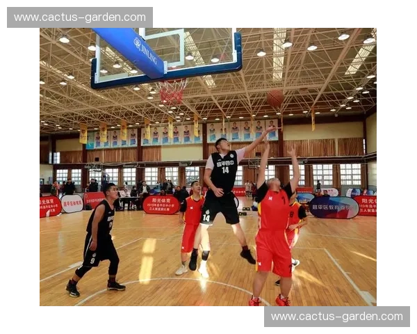 免费畅看全球篮球赛事直播全攻略带你免费观看精彩比赛实况