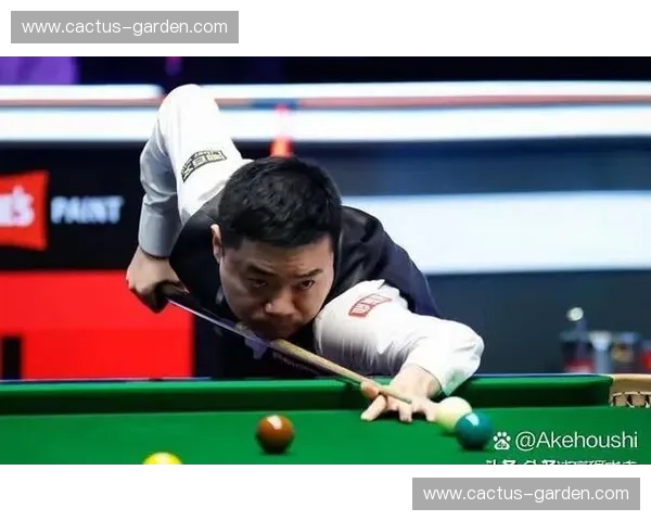 巅峰对决精彩纷呈台球大师赛现场直播全程解析