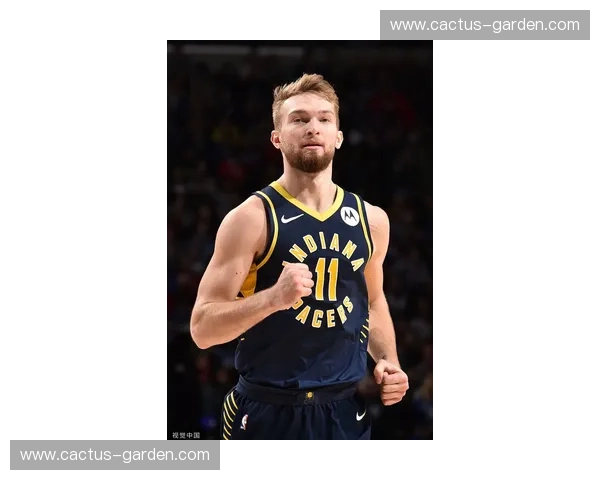 NBN篮球直播全面解析带你掌握最新赛事动态与精彩瞬间